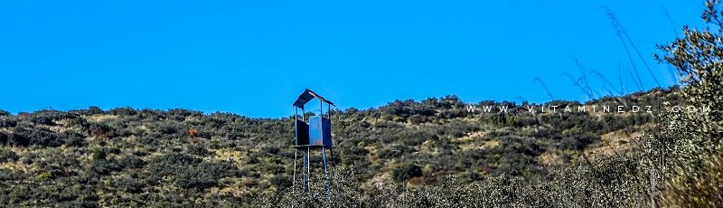 تلمسان - Réserve de chasse de Moutas	(Commune de Bouhlou, Wilaya de Tlemcen)