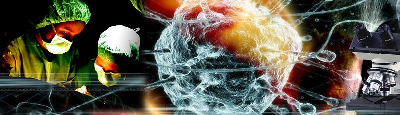 Tiaret - Cancérologie, Oncologie, Radiothérapie, Chimiothérapie