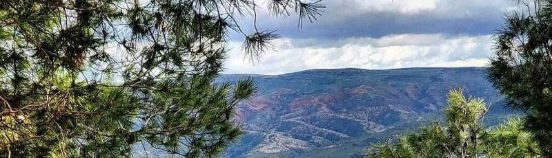 وهران - Forêt de Sidi Ghanem	(Commune de Tafraoui, Wilaya d'Oran)