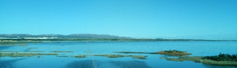 Oran - Lac de Télamine	(Commune de Gdyel, Wilaya d'Oran)