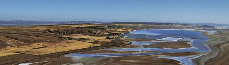 وهران - Salines d’Arzew	(Commune de Arzew, Wilaya d'Oran)