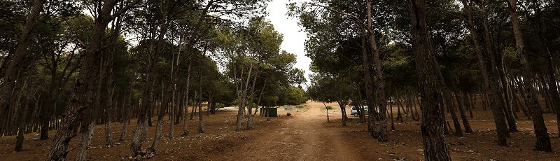 Tlemcen - Djebel Lakhdar	(Commune de Sebaa Chioukh, Wilaya de Tlemcen)