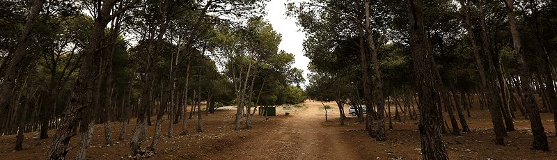 Algérie - Djebel Lakhdar	(Commune de Sebaa Chioukh, Wilaya de Tlemcen)