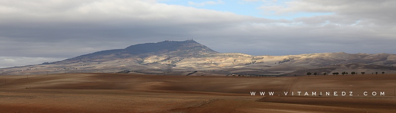 Sidi-Belabbes - Monts du Tessala	(Commune de Tessala, Wilaya de Sidi Bel Abbes)