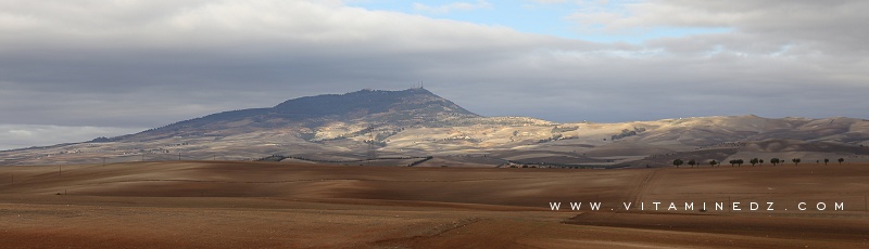 Algérie - Monts du Tessala	(Commune de Tessala, Wilaya de Sidi Bel Abbes)