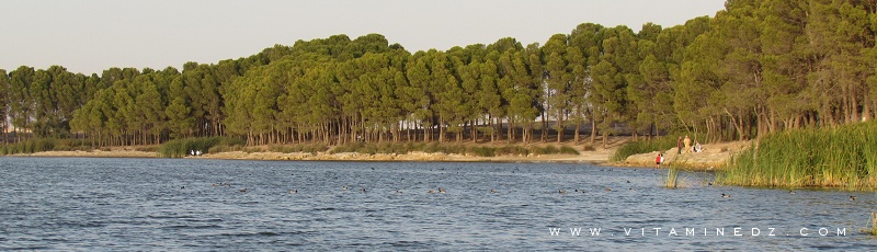 Algérie - Lac Sidi M'hamed Benali	(Commune de Ain Thrid, Wilaya de Sidi Bel Abbes)
