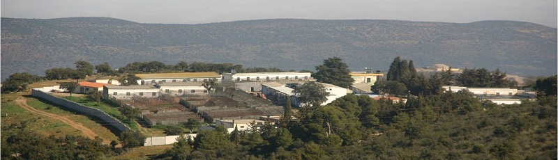 Algérie - Centre Cynégétique Tlemcen	(Commune de Terny Beni Hdiel, Wilaya de Tlemcen)