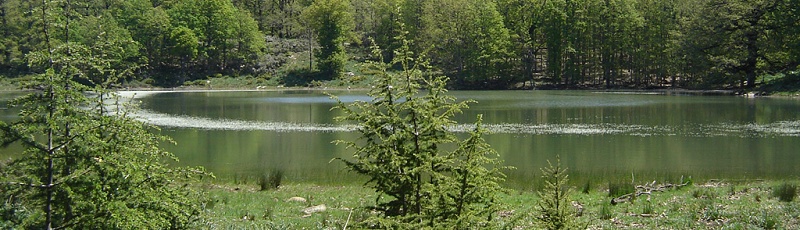 Bejaia - Lac Noir, Akfadou ou Agelmim Aberkan	(Commune d'Adekar, Wilaya de Béjaïa)