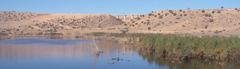 تلمسان - Barrage Sidi Abdelli	(Commune de Sidi Abdelli, Wilaya de Tlemcen)