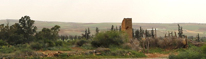 Algérie - Soumaa	(Commune d'El Fehoul, Wilaya de Tlemcen)