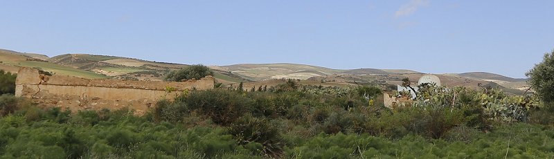 Tlemcen - Mausolée Sidi Al Izz et cimetière Dar Es Soumaa	(Commune d'El Fehoul, Wilaya de Tlemcen)