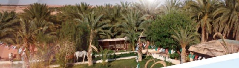 Ouargla - Complexe Touristique La Grotte, Ijdagh Tour	(Commune de Ouargla, Wilaya de Ouargla)