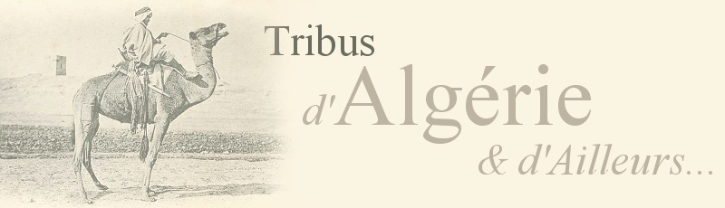 الجزائر - Touaregs