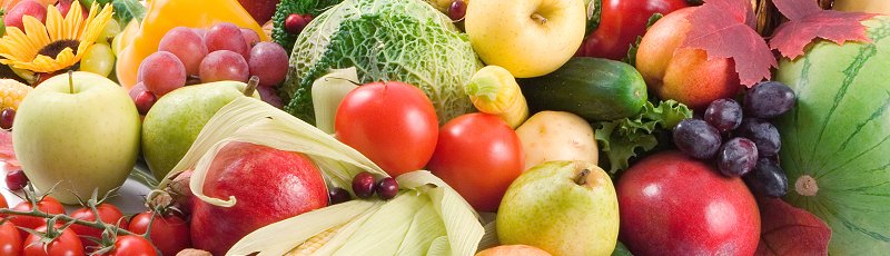 الجزائر - Culture de Fruits et Légumes
