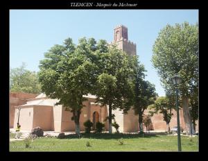 Mosquée du Palais du Mechouar