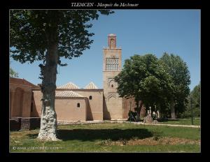 Mosquée du Palais du Mechouar