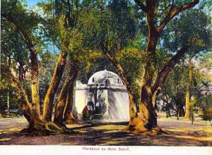 Marabout Sidi Yacoub au Bois sacré