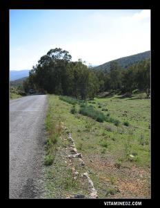 Ahfir et ses richesse natuelles