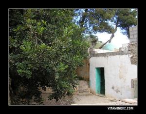 Sidi Yahia à Aïn Douz (Inndouz)