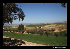 A l'entrée de la commune de Hennaya : Sidi Boukanoun