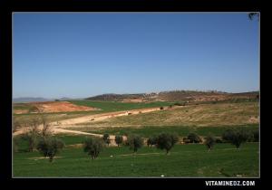 Nouvelle ville de Oujlida vue de Hennaya