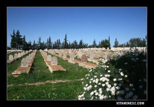 Cimetière des Martyrs à l'entrée de Hennaya