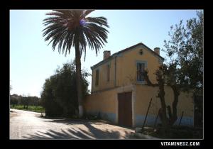Ancienne gare de Hennaya (Eugene Etienne)
