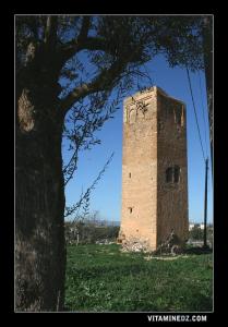 Vestiges historiques dans l'ancienne Hennaya