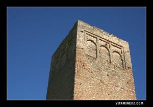 Vestiges historiques dans l'ancienne Hennaya du temps des zianides