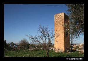 Vestiges de l'ancienne Hennaya, communément appelée  Soumaa