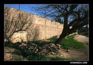 Hennaya : Wali de Sidi Mohammed (2) ou ce qu'il en reste.