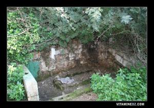 Autre saint enterré sous le Wali de Sidi Chaïb