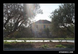 Ferme agricole d'époque coloniale dans les environs de Hennaya (Eugène-Etienne)