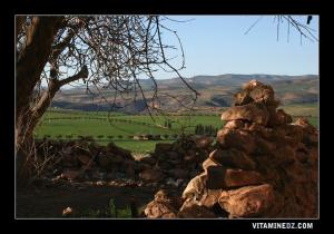 L'ancien village de Sidi Youcef à l'origine de Ain Youcef