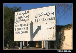 De Ain Youcef (Lavayssière) vers Bensekrane (Pont de l'Isser) ou vers El Fehoul, Benchaib ou Sebaa Chioukh