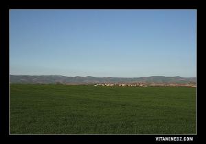Région du Sikkak aux alentours de  Ain Youcef (Lavayssière)