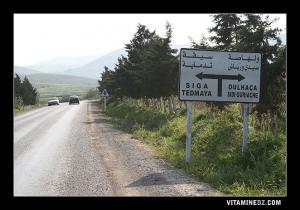 vers Tedmaya et Siga ou Oulhaça et Sidi Ouriache