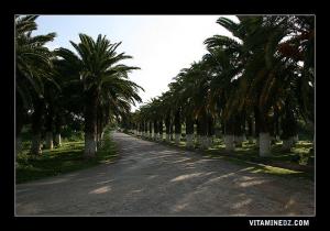 Entrée du Village de village de Siga