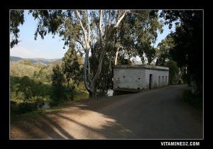 Ancien moulin à eau aux berges de oued la Tafna à l'entrée du Village de Siga