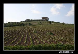 Domaine agricole, type colonial