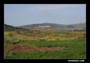 Domaine agricole, type colonial entre Siga et Tadmaya