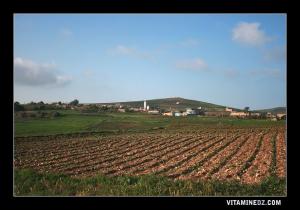 Le Village de Sidi Rahmoune