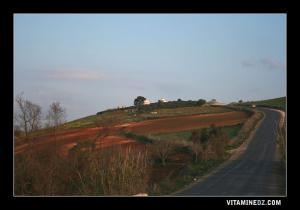 A l'entrée du village Tourbane, le cimetière avec les de goubbas de Ouled Sidi Amar Berrahou
