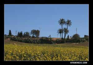 Le petit village de Sidi Ahmed à coté de Remchi