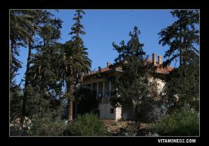 Ferme coloniale à coté de Sidi Ahmed (Remchi)