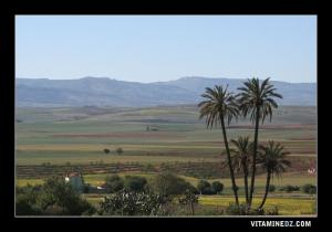 Vastes plaines du coté de Remchi,