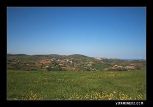 Vue panoramique du haut du village d'El Bratla