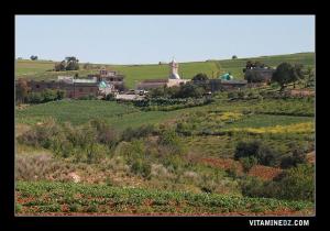 Zaouia de la Tariqa Aissaouia