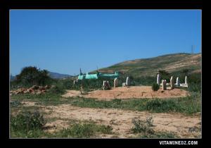 Tombe de Sidi Abdallah à Freha, à coté de Sidi Ouriache.