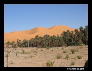 La magie des dunes et des oasis  taghitiennes
